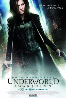 Underworld Awakening - Hindi - BRRip